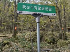 -牛背梁国家森林公园