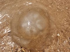 -东戴河风景区-止锚湾