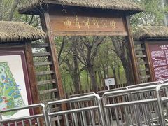 -西青郊野公园