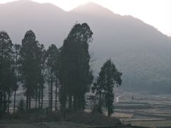 -MOJ coffee(瓯海泽雅水碓坑店)