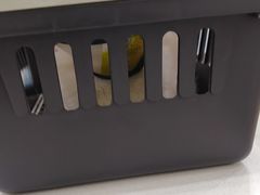 -艾贝尔宠物医院·宠保定点·超声绝育·免疫点(樱花路店)