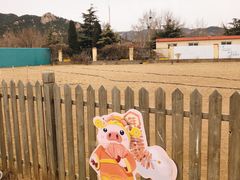 -趣玩宠物乐园寄养训犬训狗游泳池
