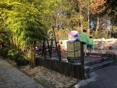 -崇阳三特浪口温泉
