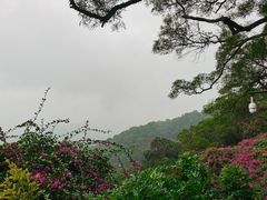 -广州市白云山风景名胜区