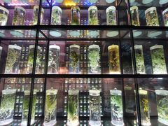 -广东中医药博物馆