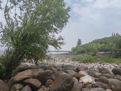 -吴淞炮台湾湿地森林公园烧烤区