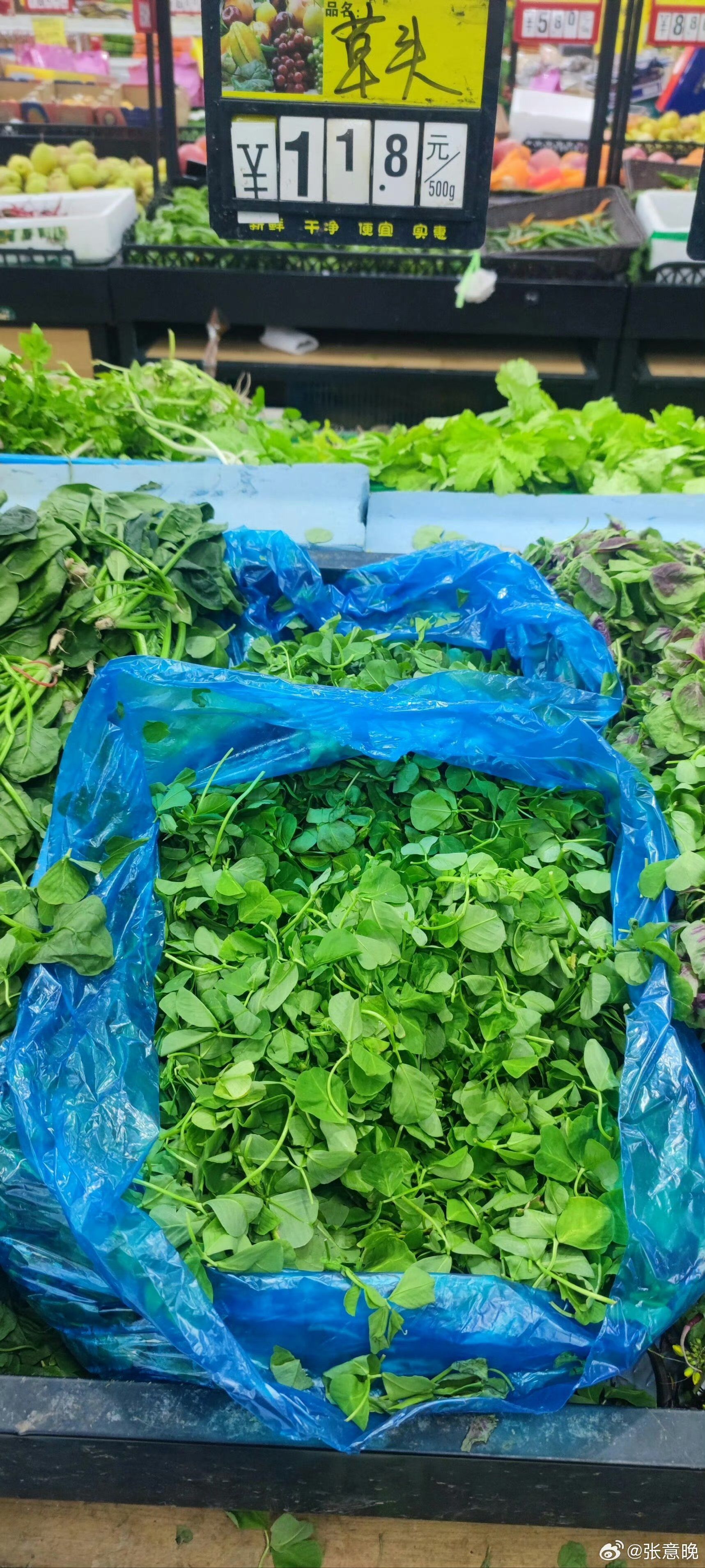 上海最近应该都在吃这个草头吧 ​