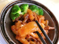 鹅掌扣蹄筋（例）-老字号蛇口德记烧腊饭店·海鲜加工