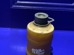 芒果冻顶乌龙-milkplus·泰式奶茶(较场东路店)