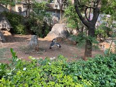 -昆明动物园