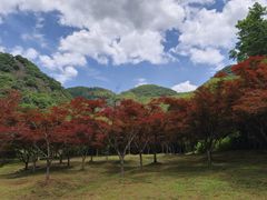 -五泄景区