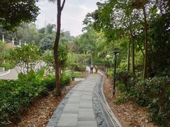 -清湖文化公园