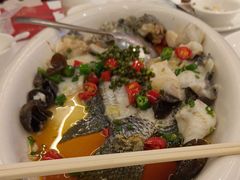 -陶缘一号·四季缘·老字号顺德菜·户外婚礼家宴(西滘店)