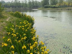 -东郊湿地公园