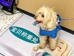-瑞派康怡24h宠物医院·犬猫医疗中心·微创绝育(瑞景分院)