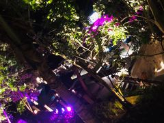 -Rock Bar Bali(Bali)