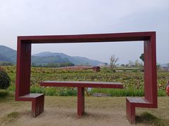 -径山花海