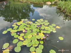 -牛岗山公园