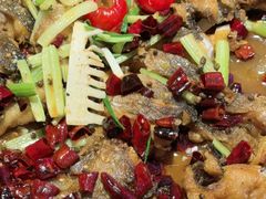 -老板恋上鱼(恒隆广场店)