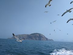 -海驴岛(荣成市)
