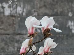 -东华门大街小区
