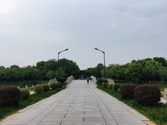 -八大山人梅湖景区