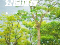 -白石龙音乐公园