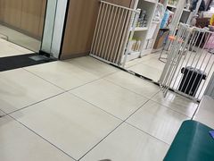 -米苏动物医院·犬猫专科·骨科外科内窥镜