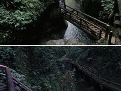 -都江堰景区