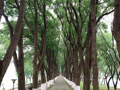 -洪湖生态旅游区