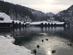 -柯尼希湖