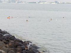 -霞山观海长廊