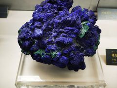 -中国地质博物馆