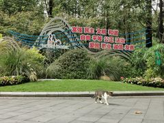 -徐家汇源景区-衡山公园