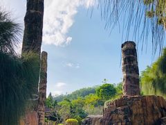 -深圳仙湖植物园