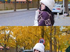 -三里屯东五街银杏大道