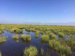 -花湖生态旅游区