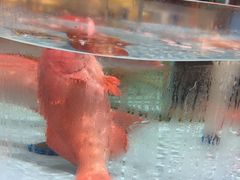 -阿伟海鲜楼·福建菜(延寿店)