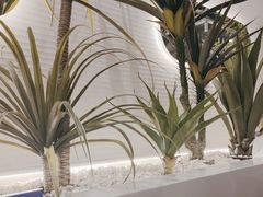 -兰湘子·湘菜小炒(崂山丽达店)