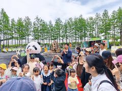 -乌村