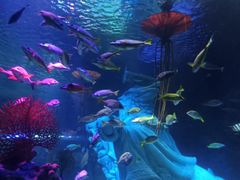 -沈阳海洋探索中心