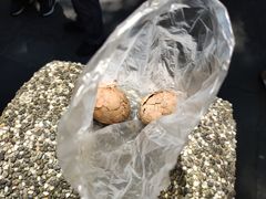 -金盆阿嬷香菇茶叶蛋(玄光店)