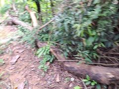 -越王山风景区
