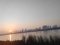 -合肥滨湖国家森林公园