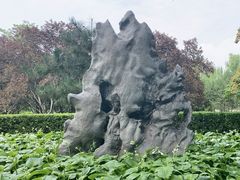 -莲花池公园