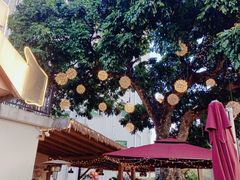 -泰堤坊(淡水体育馆店)