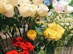 -谷莠子花艺·气球派对·绿植造景·花艺沙龙(金光华广场店)