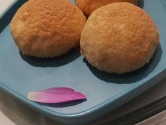 -千灯盛汇·头牌粤菜(致越优城店)
