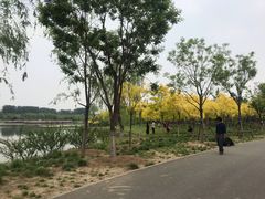 -东郊湿地公园
