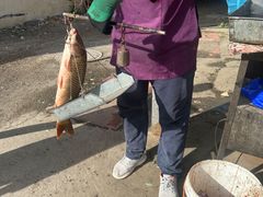 -金台阶鱼馆(于桥水库店)